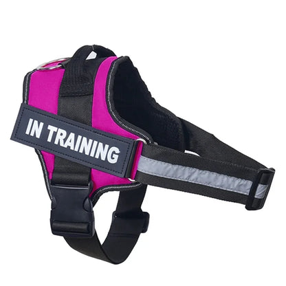 Dropshipping Personalized Dog Harness Reflective Adjustable Dog Harness Tank Top Free Custom Name Label Dog Training Supplies